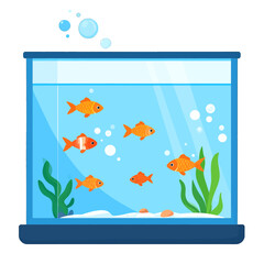 Aquarium with Six Goldfish Underwater and Green Seaweed Plants on White Sand in a Bright Light Background
