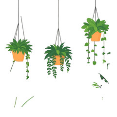 Pixelated Hanging Green Plants in Orange Pots on White Background