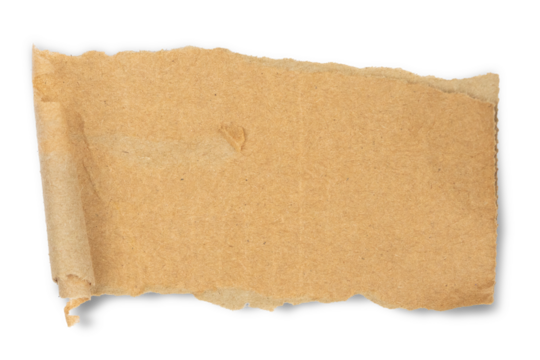 Piece of torn paper with curled edge. A torn piece of textured paper with rough edges and a curled corner isolated on transparent