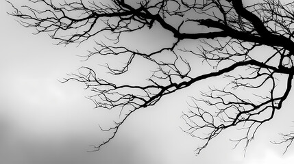 Obraz premium A stark black and white image of tree branches reaching towards a cloudy sky, evoking a sense of solitude