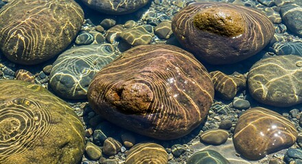 Riverbed stones beneath clear water