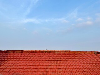 photo from below background of leaves and flowers on tree under blue sky