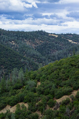 Naklejka premium Lush Green Hills and Dense Forests Under a Cloudy Sky in a Serene Landscape During Early Afternoon