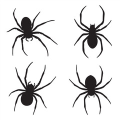 set of spider