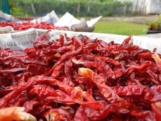 dried red chili peppers