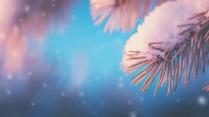 Fototapeta premium A close-up of a pine branch dusted with white snow showcases the beauty of winter. Soft snowflakes fall gently against a blurred, colorful backdrop, creating a peaceful atmosphere in the cold season