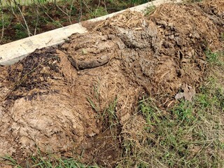 making fertilizer from livestock manure