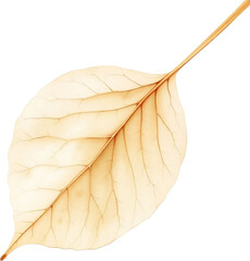 나뭇잎, 잎맥, 잎, 녹색, 