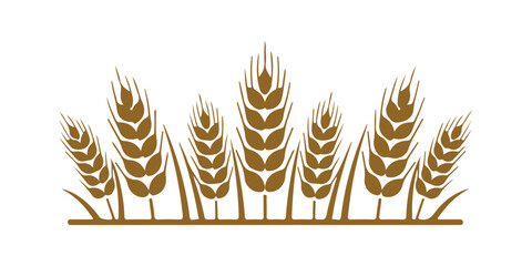 Wheat agriculture artwork for design

