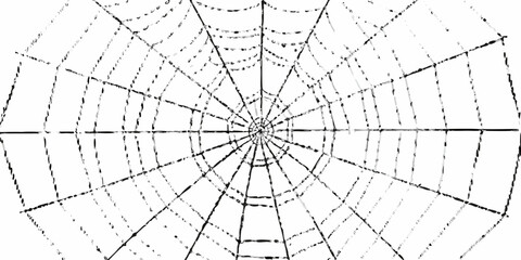 Abstract black and white spider web pattern with radial and circular lines on a white background