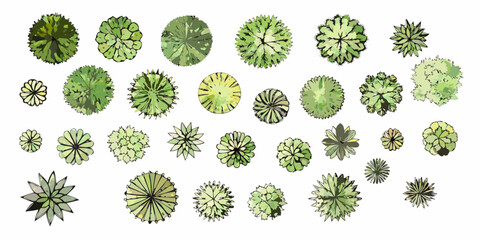 Collection of diverse hand drawn top view trees and plants in various shades of green and yellow for architectural plans