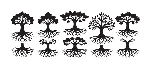 A collection of Black Root Trees. Vector illustration. Plants and garden


