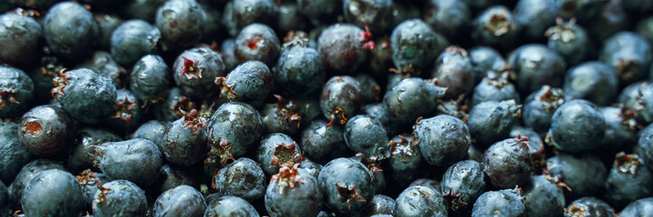 Close-up of fresh juicy blueberries showcasing natural texture and vibrant color.