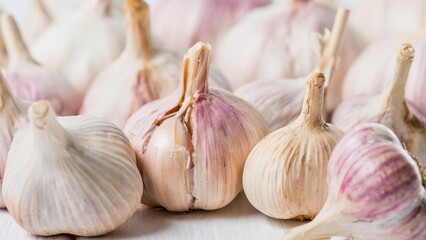 Freshly harvested garlic bulbs with stems