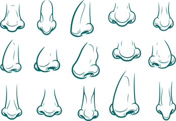 Vector art of set of various nose illustrations, showing different shapes and angles