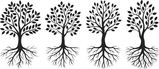 Set of elegant black and white tree illustrations with visible roots, minimalist nature design symbolizing growth, balance, and environmental harmony