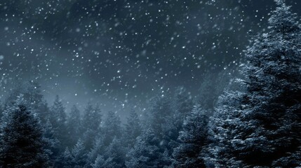 A snowy forest with trees covered in snow