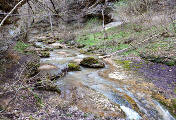 River canyon in spring on a sunny day, walking along the riverbank