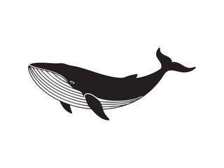 whale