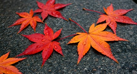 Autumn leaves on textured surface