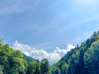 It is pleasant to admire the heavenly view from the middle of the forest, which creates an amazing picture of a cloudy veil.