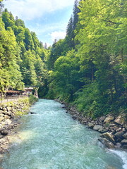 Amazing view of the Partnach mountain river carrying its waters overcoming stone barriers against the background of coastal trees of the mountain forest on a clear sunny day.
