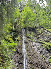 A fascinating natural panorama of a waterfall that throws its waters down a stone slope in the thickets of the mountain forest.