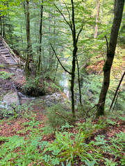 A fenced descent in the depths of the mountain forest to the waterfall for interested travelers.