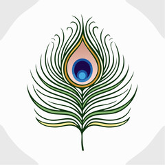 Obraz premium Elegant vector illustration of a peacock feather on white background