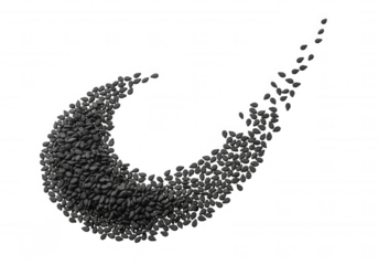Black sesame seeds forming swoosh food ingredient isolated on a transparent background