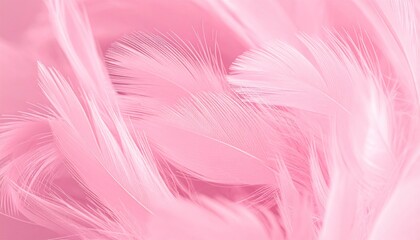 Obraz premium Delicate Pink Feathers - A Soft and Dreamy Texture.