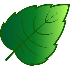 Green Tree Leaf Nature Element