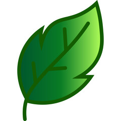 Green Tree Leaf Nature Element