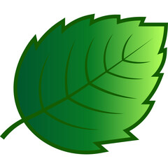 Green Tree Leaf Nature Element