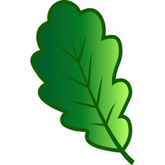 Green Tree Leaf Nature Element