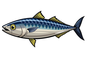 Obraz premium Mackerel Fish Isolated on Transparent Background — Detailed Marine Seafood Illustration.