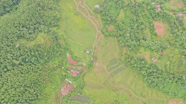 Beautiful hillside view of Tansen Palpa, Nepal, showcasing green mountains, traditional houses, and the peaceful charm of this historic hill town surrounded by nature.