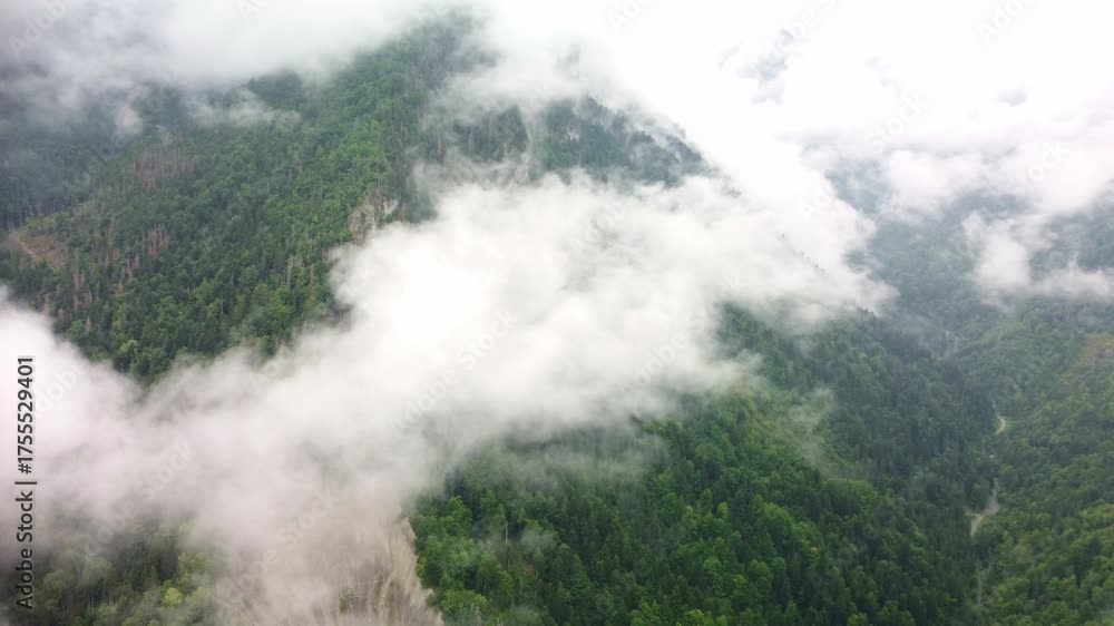 Wall mural clouds lying of a mountain forest area of southern france. drone footage rotates to the left focusin