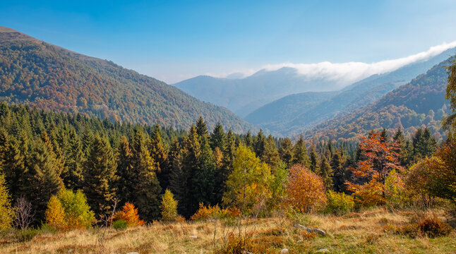 Fall season panorama with foliage of Valdilana region (Piedmont, Northern Italy). This area is a famous nature reserve, full of trekking paths.