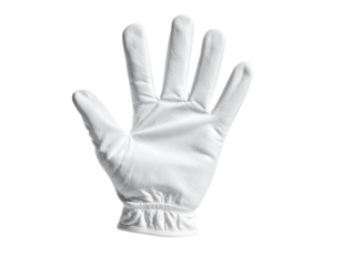 A white glove with five fingers, featuring a gathered wrist, showcasing smooth leather texture and delicate craftsmanship.