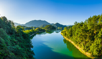Beautiful lake surrounded by green forest and mountain under a clear blue sky