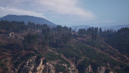 Trees and rocky terrain stretch across the landscape, showcasing a mix of vibrant green foliage and barren spots. The mountains rise in the background, bathed in gentle morning light.