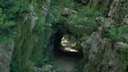 Nature reveals a hidden cave shrouded in vibrant green foliage and moss. Soft light filters through, creating an enchanting atmosphere perfect for adventure and exploration.