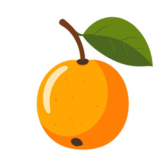 Vibrant Orange Fruit with Green Leaf on White Background Detailed Still Life Illustration of a Round Citrus Fruit with a Short Stem and a Single Leaf