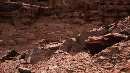 This scene showcases a vast red desert landscape with intricate rock formations. Sunlight casts gentle shadows on the textured ground, revealing a sense of timeless beauty and adventure.