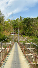 Obraz premium Tropical bridge leading into dense forest 
