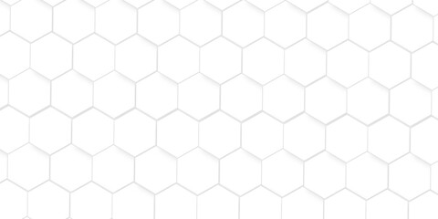 Abstract pattern hexagonal white technology line paper background. Hexagonal grid tile mosaic structure mess cell design. white and gray hexagon honeycomb football geometric copy space business text.	