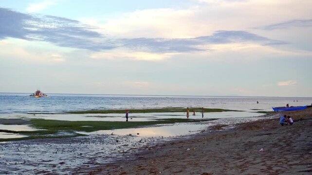 At low tide, people collect algae and mollusks and arthropods, crabs run to the shallows