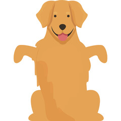 Golden Retriever Dog Sitting Happily Showing Tongue With Arms Open On Transparent Background