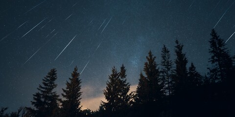 Night sky above a forest with streaking meteor trails, long exposure capturing multiple meteors, high-resolution astro landscape.